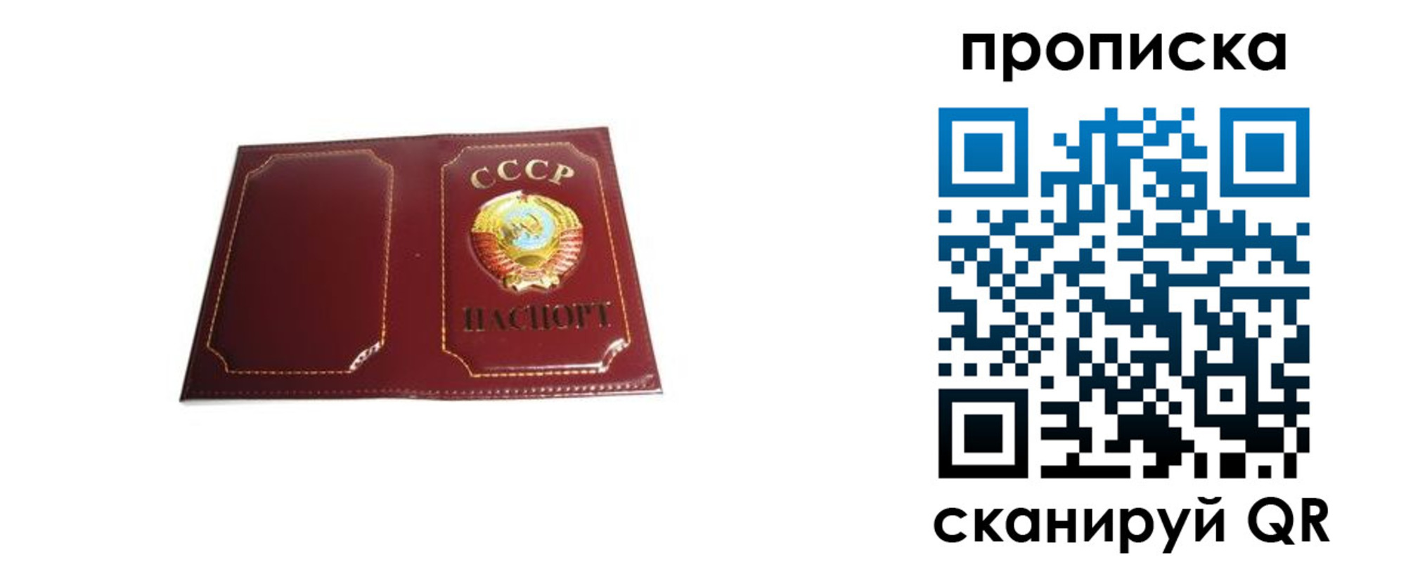 прописка гарантия в Райчихинске